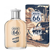 Route 66 Born To Be Wild