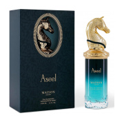 Maison Asrar Aseel