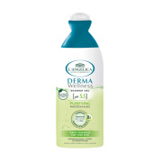 L'ANGELICA Derma Wellness Purifying Shower Gel