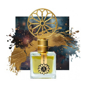 Angela Ciampagna Materia