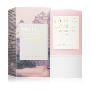 SKIN1004 Madagascar Centella Poremizing Quick Clay Stick Mask