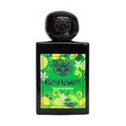 Lorenzo Pazzaglia Ginfusion