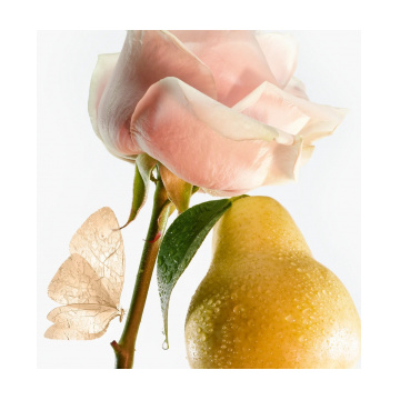 Goutal Petite Chérie Body Lotion